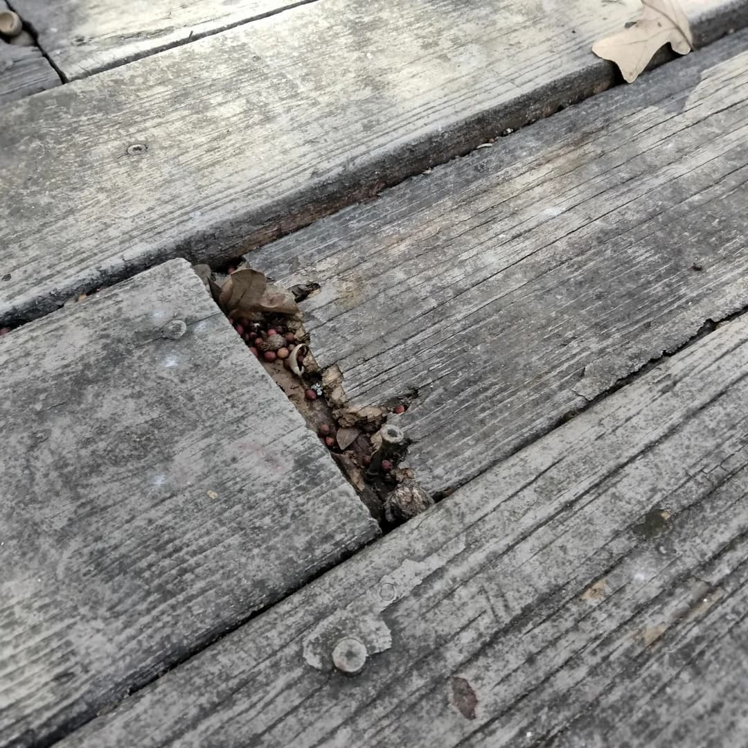 Weathered pressure-treated deck boards showing 15-year wear pattern β Loudoun County deck inspection